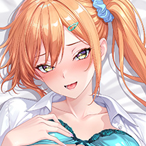 にほん女子校生ずかん スタジオぽこたん先生 抱き枕カバー & B2タペストリー